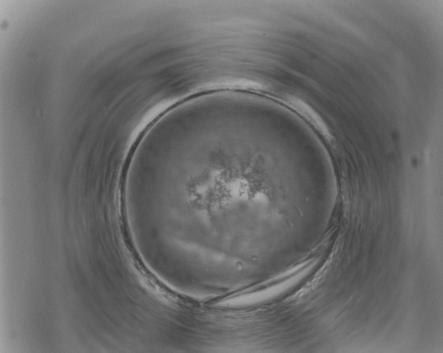 X0000074341044200609011623