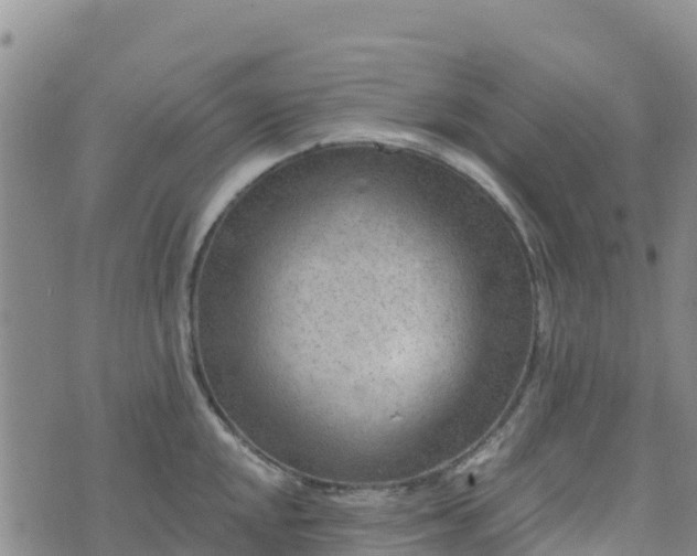 X0000074341048200609011623