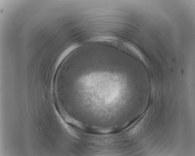 X0000074341050200609011623