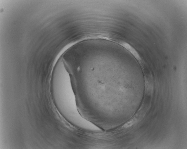 X0000074341052200609011623