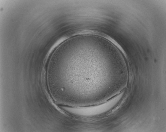 X0000074341053200609011623