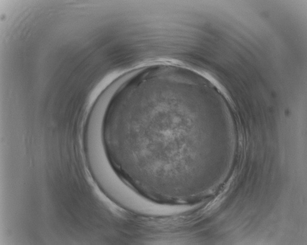 X0000074341054200609011623