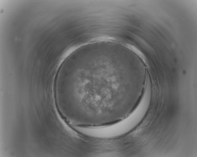 X0000074341055200609011623