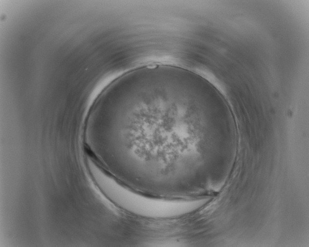 X0000074341056200609011623