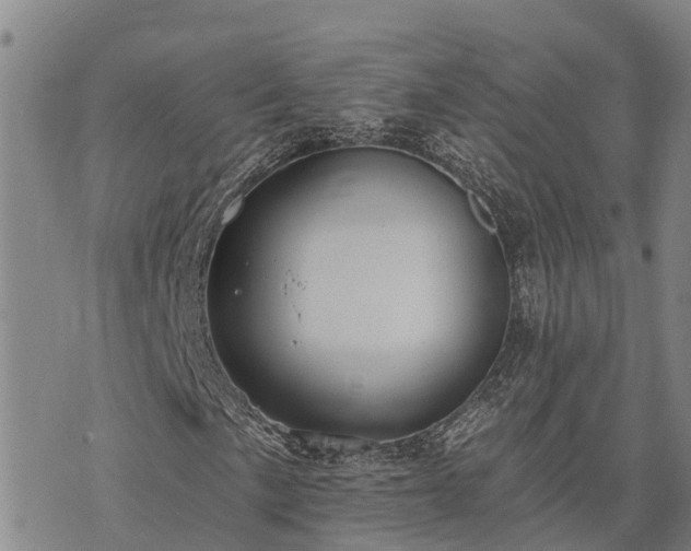 X0000074341057200609011622