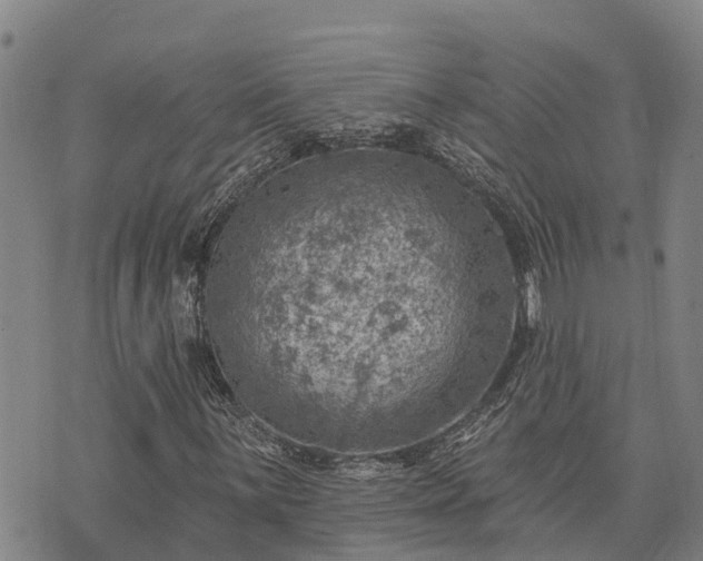 X0000074341059200609011622