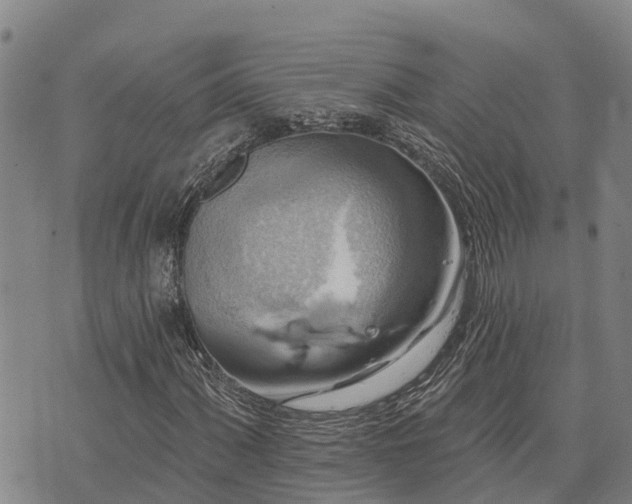 X0000074341060200609011622