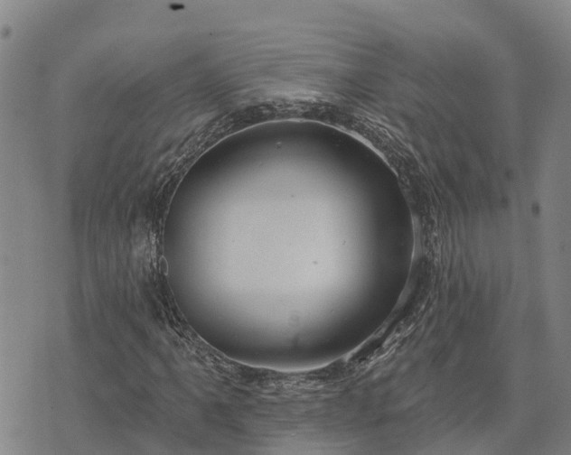 X0000074341061200609011622