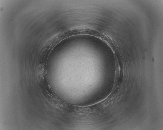 X0000074341062200609011622