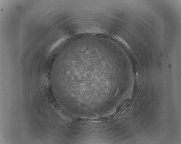 X0000074341064200609011622