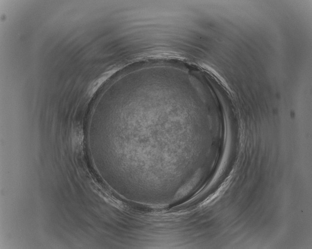 X0000074341065200609011622