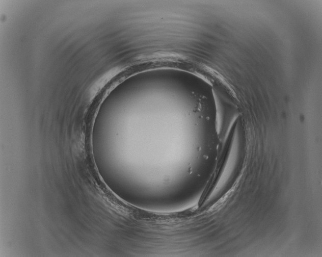 X0000074341066200609011622