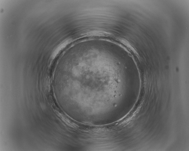 X0000074341067200609011622