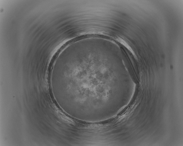 X0000074341068200609011622