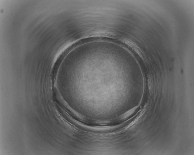 X0000074341069200609011622