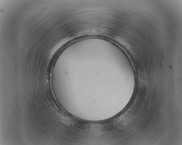 X0000074341070200609011622