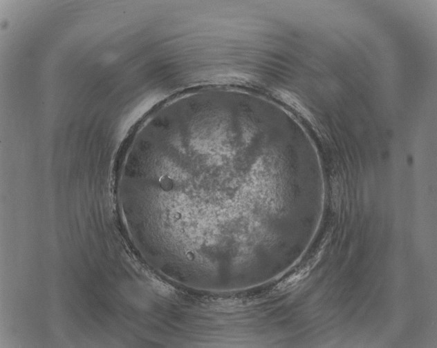 X0000074341071200609011622