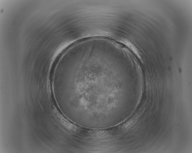 X0000074341072200609011622