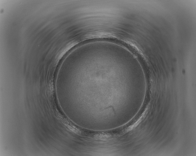 X0000074341073200609011622