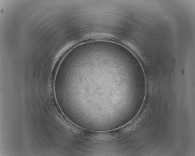 X0000074341074200609011622