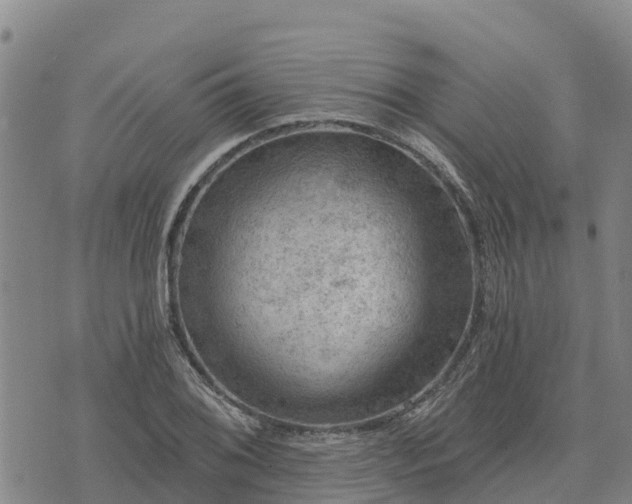 X0000074341076200609011622