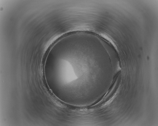 X0000074341077200609011622