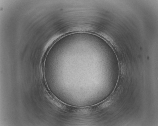 X0000074341078200609011622