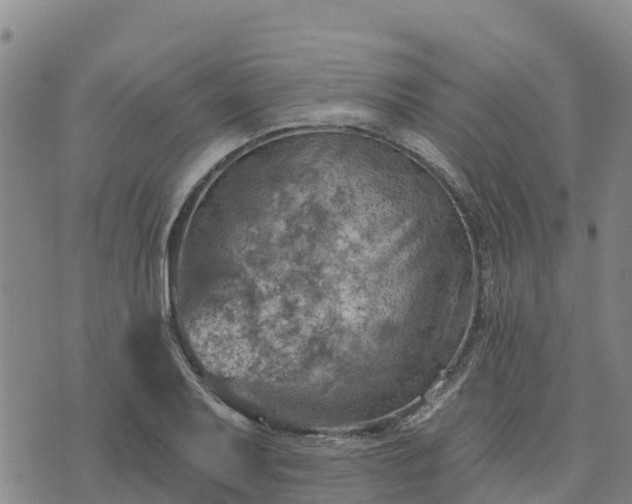 X0000074341079200609011622