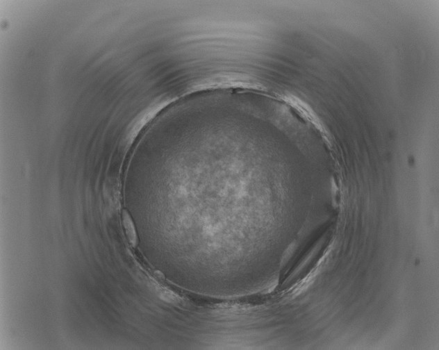 X0000074341081200609011622