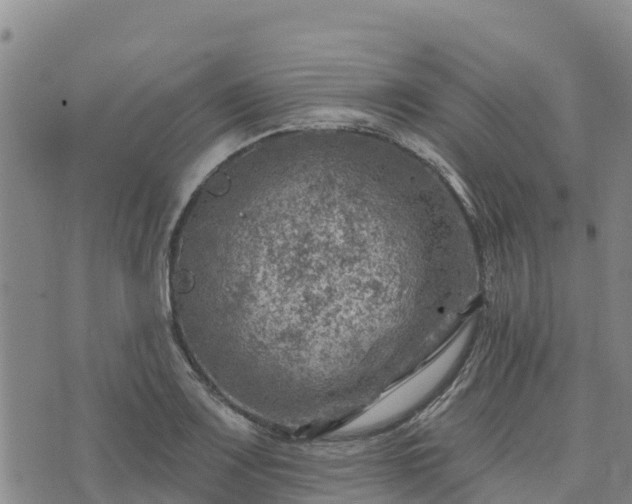 X0000074341083200609011622