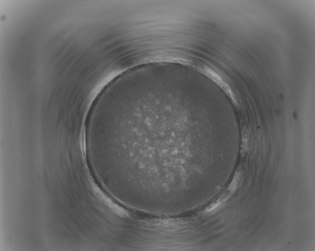 X0000074341084200609011622