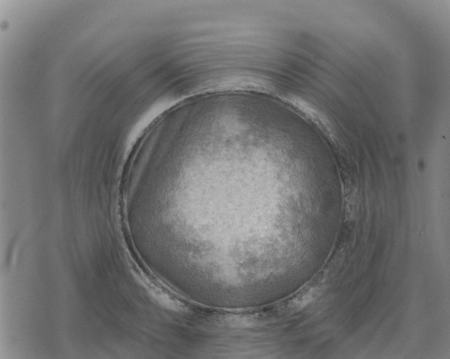 X0000074341086200609011622