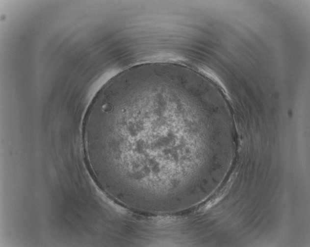 X0000074341087200609011622