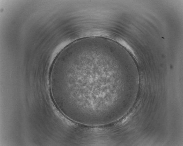 X0000074341088200609011622