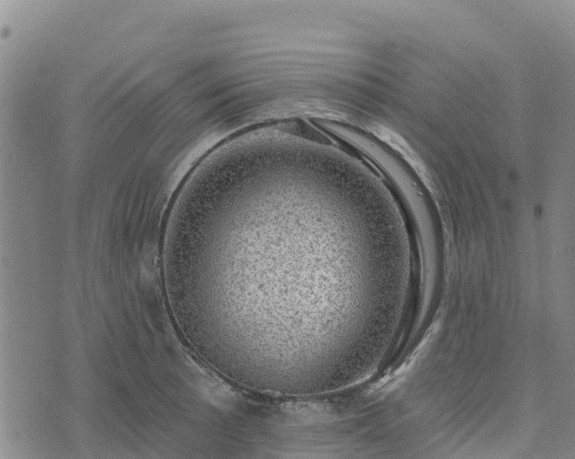 X0000074341089200609011622