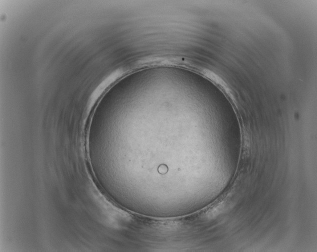 X0000074341090200609011622