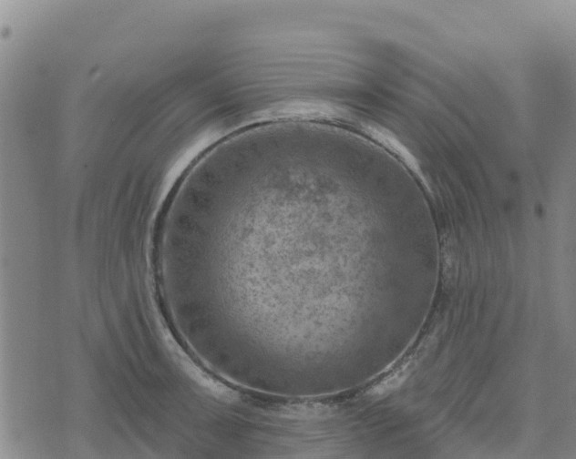 X0000074341091200609011622