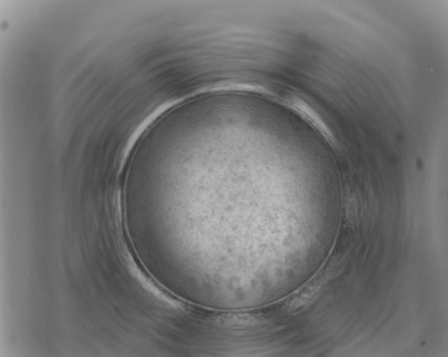 X0000074341092200609011622