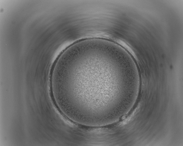 X0000074341093200609011622