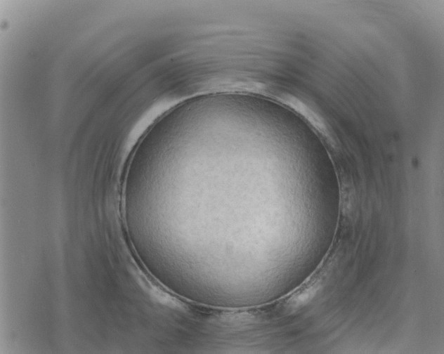 X0000074341094200609011622