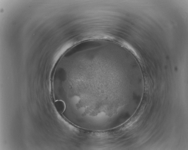 X0000074341095200609011622