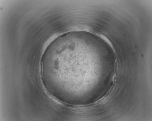 X0000074341096200609011622