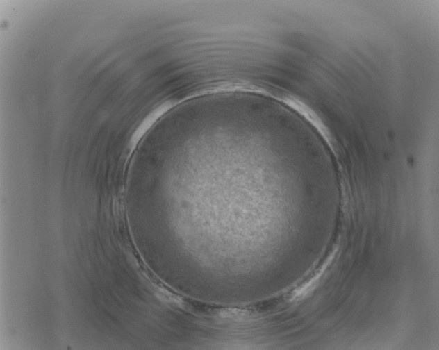 X0000074341097200609011622