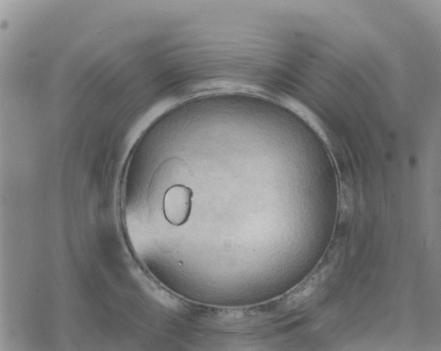 X0000074341098200609011622