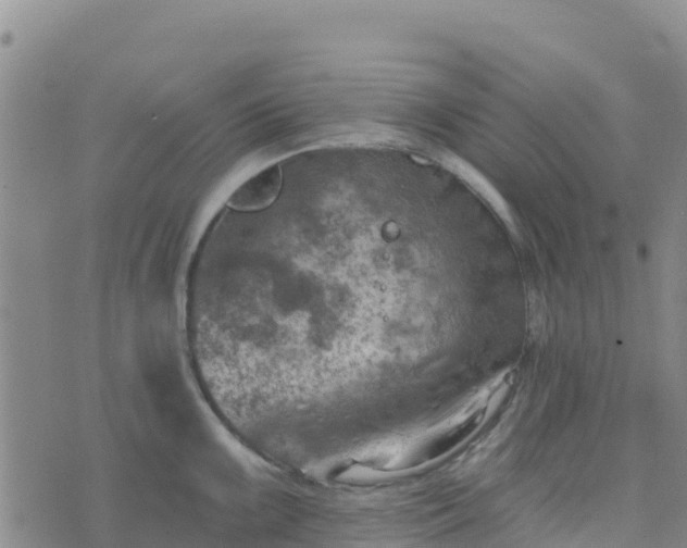 X0000074341099200609011622