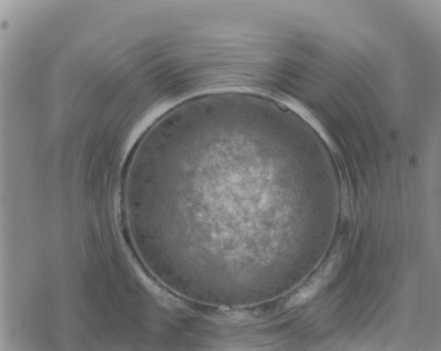 X0000074341101200609011622