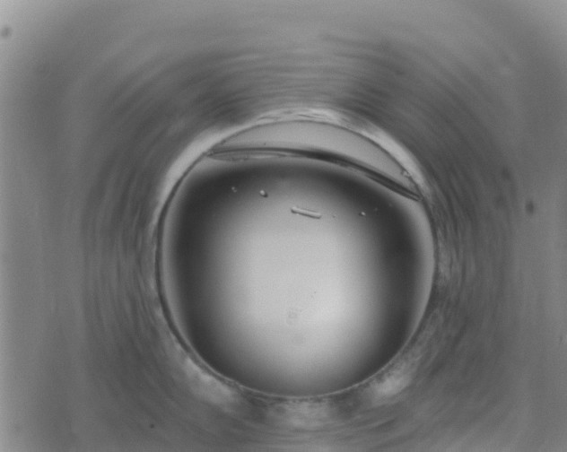 X0000074341102200609011621