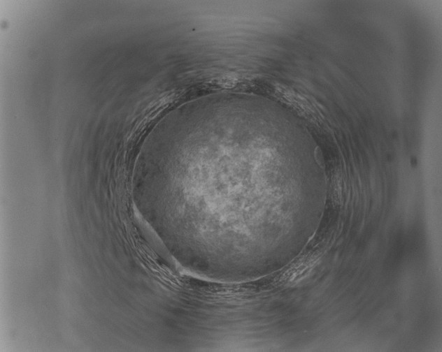 X0000074341105200609011621