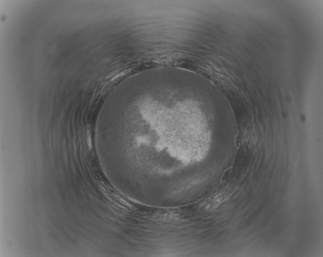 X0000074341106200609011621