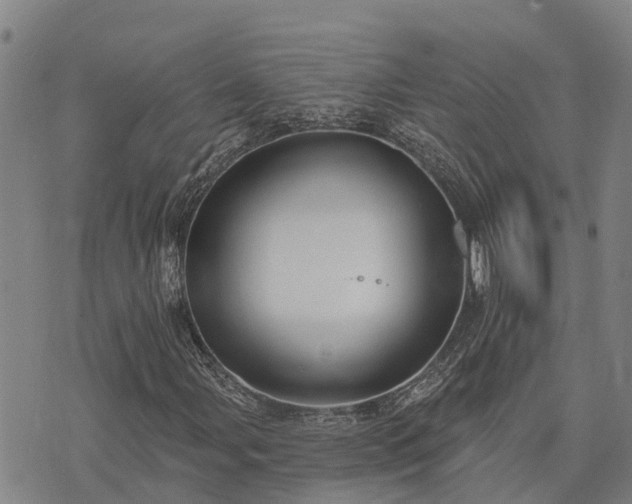 X0000074341107200609011621